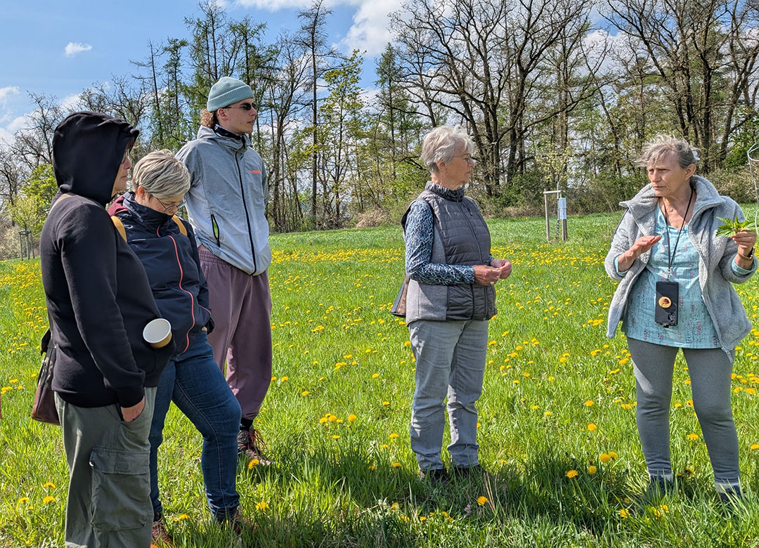 Streuobstwiese mit Kräuterfrauen
