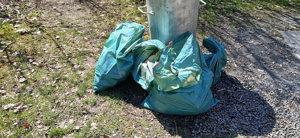 Zunächst gesammelt am Ablageort