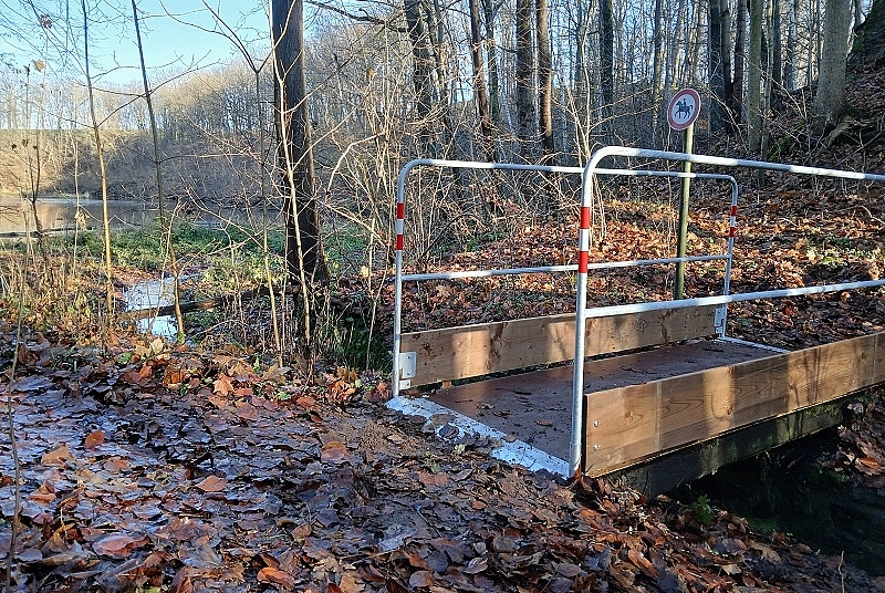 Neue Brücke über einem Bach im Waldgebiet
