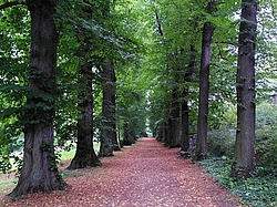 Allee im Schlosspark Wechselburg