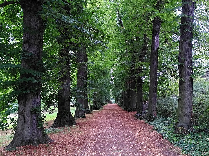 Allee im Schlosspark Wechselburg