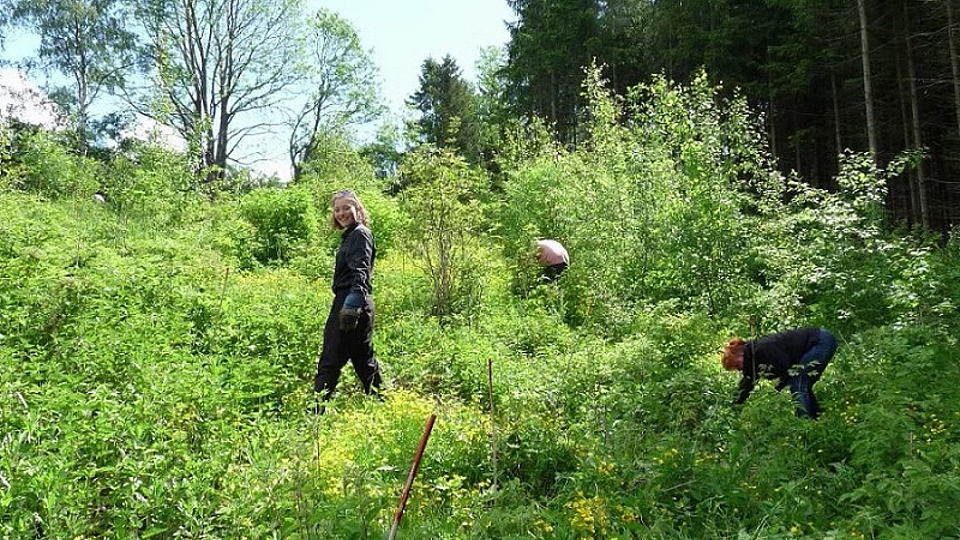 Bäumchenpflanzwochende, Quelle: Grüne Liga Osterzgebirge e.V.