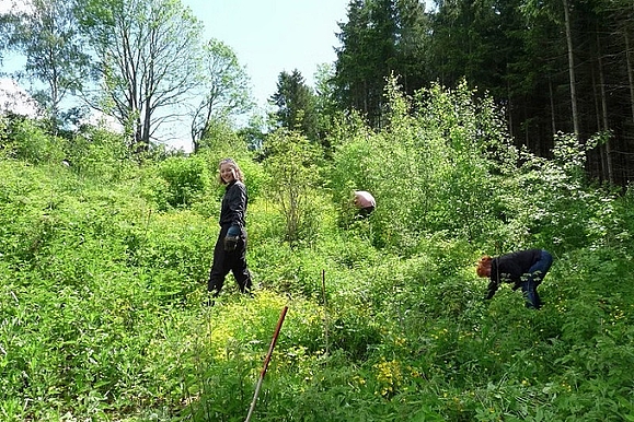 Bäumchenpflanzwochende, Quelle: Grüne Liga Osterzgebirge e.V.