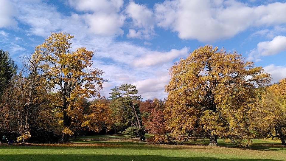 Schlosspark Wechselburg