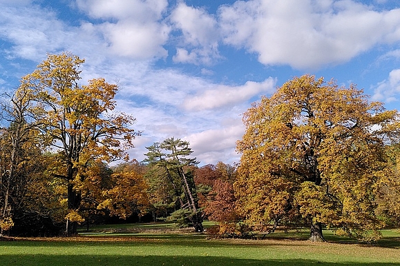 Schlosspark Wechselburg