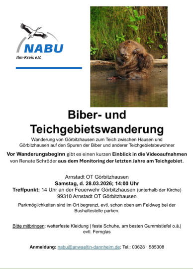 Flyer zur Biberwanderung