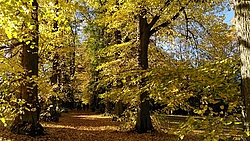 Schlosspark Wechselburg im Herbst