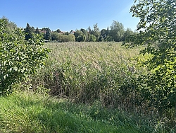 Leipzig Schkeuditz, Foto: LaNU