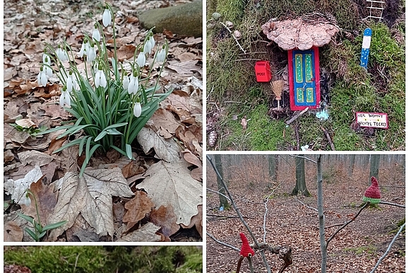 Wichtelweg im Frühling