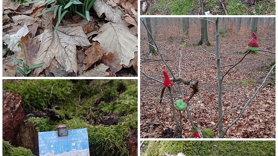 Wichtelweg im Frühling