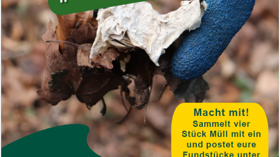 Plakat #4fortheforest