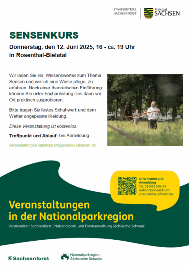 Flyer Sensenkurs