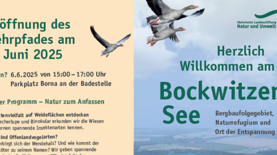 Flyer Bockwitzer See