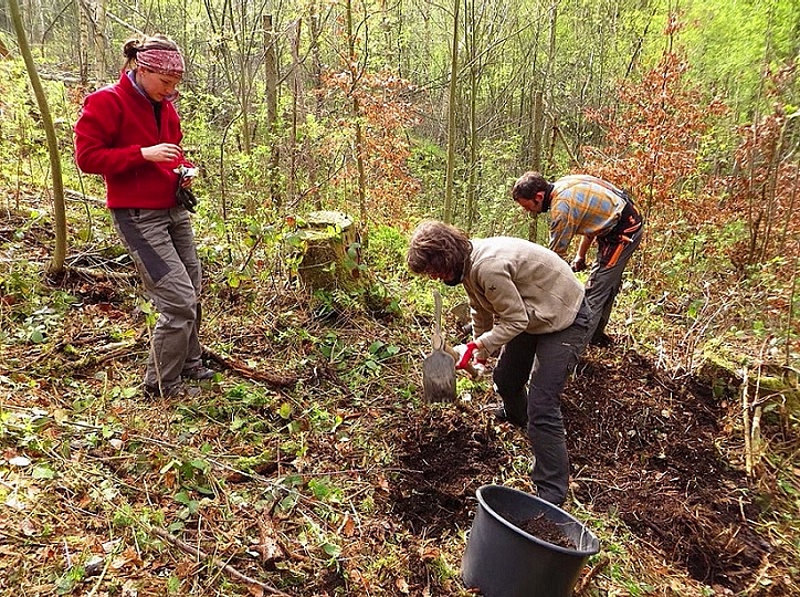 Bäumchenpflanzwochende, Quelle: Grüne Liga Osterzgebirge e.V.