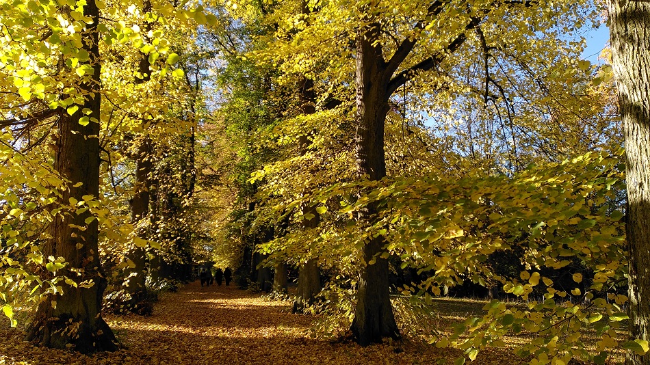 Schlosspark Wechselburg im Herbst