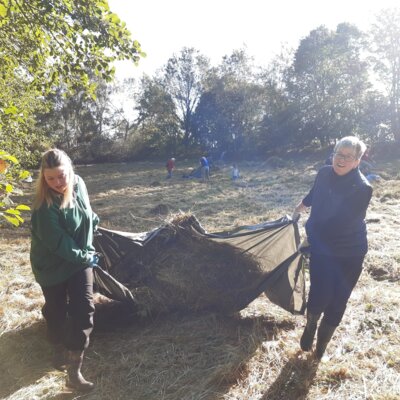 Beräumung Orchideenwiese