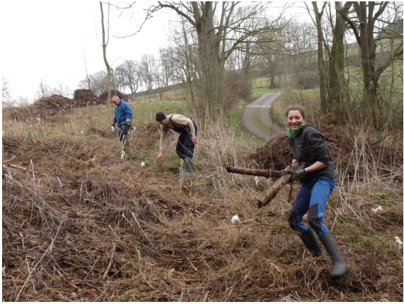Bäumchenpflanzwochende, Quelle: Grüne Liga Osterzgebirge e.V.