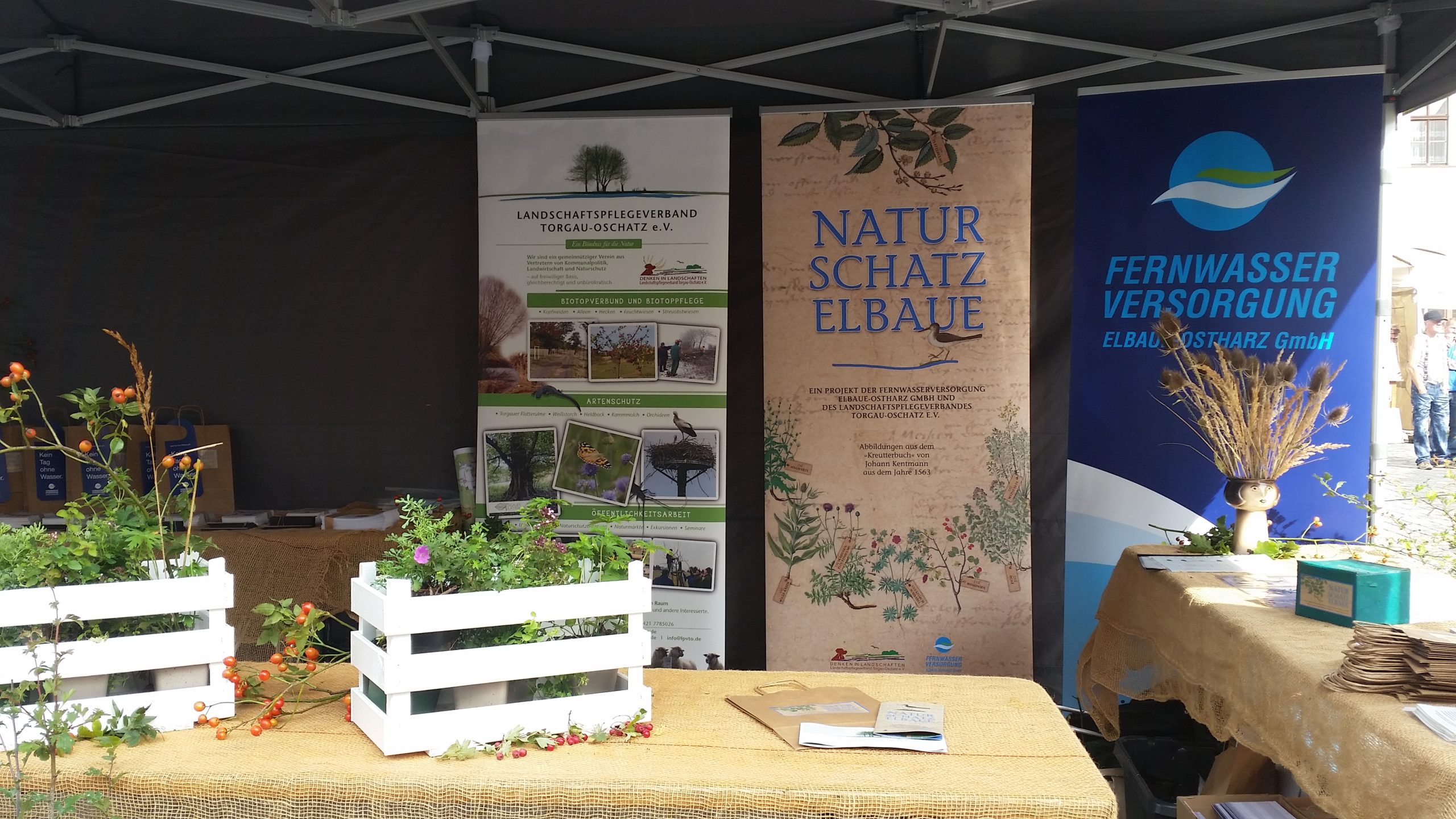 Projekt „Natur-Schatz-Elbaue“ – Dein Beitrag für die Landesgartenschau Torgau 2022