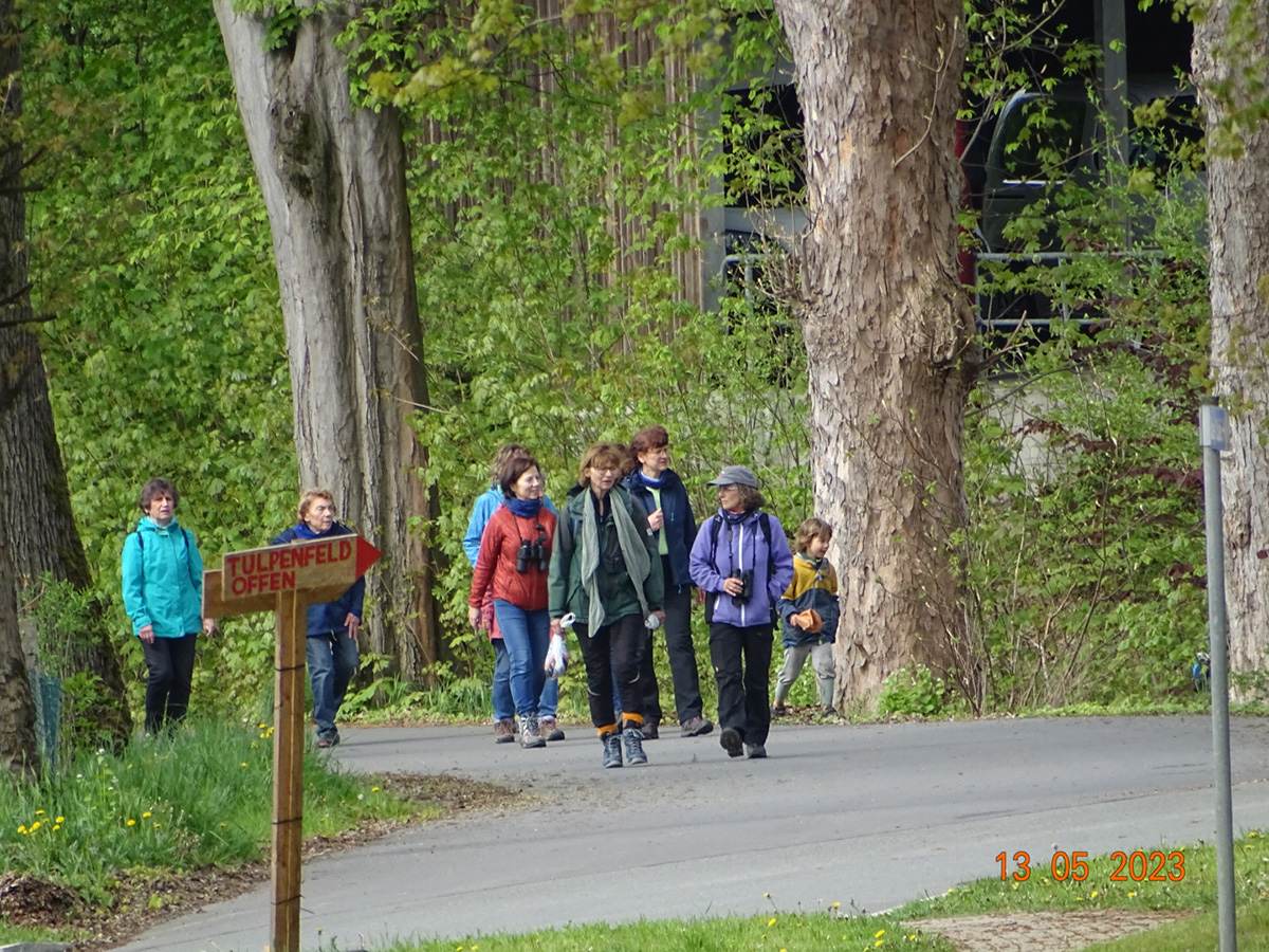 Eine Gruppe von Leuten wandert durch den Wald.