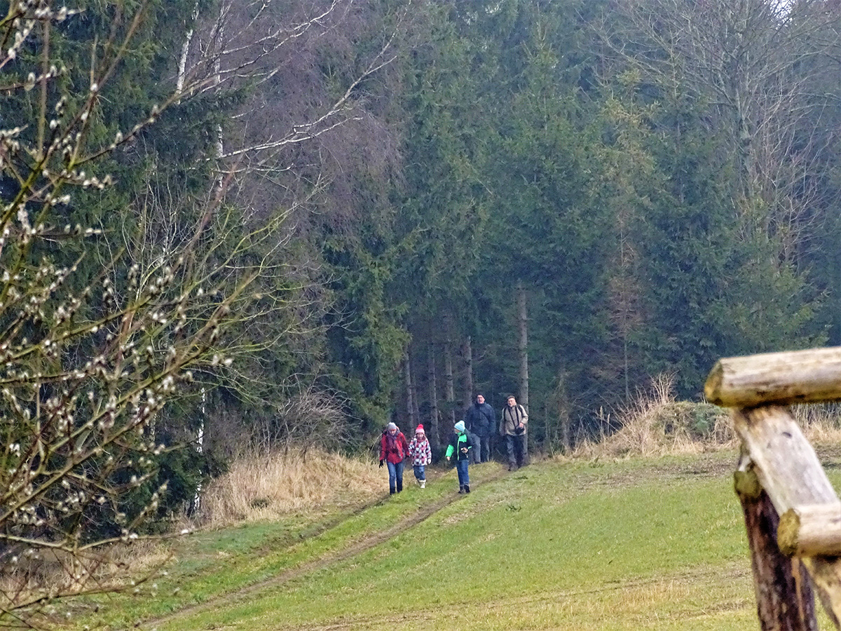 Gruppe Menschen wandert auf Wiese entlang.