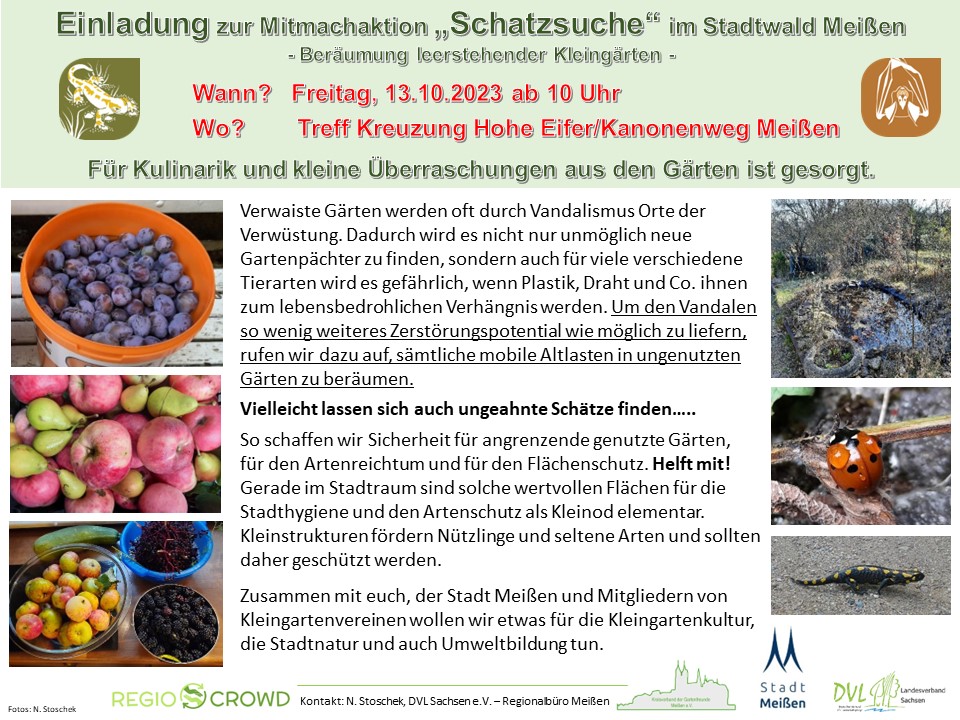 Einladung zur Mitmachaktion „Schatzsuche“ im Stadtwald Meißen – Beräumung leerstehender Kleingärten –